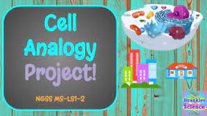 Plant and animal cell analogy project examples. Animal And Plant Cell Cell Analogy Worksheets Teaching Resources Tpt