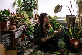 Con l'aumentare dello smog presente nell'aria, sentiamo sempre più il bisogno di riscoprire la natura e di una bella boccata di aria pulita. Purificare L Aria Di Casa Con Le Piante Ecco Come Lifestyle D It Repubblica