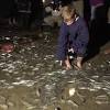 Imagen de la noticia para GRUNION de Long Beach Press Telegram