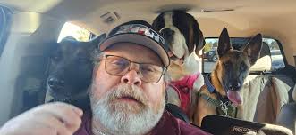 What are the needs and requirements of Bernese Mountain dogs?