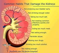 Have You Ever Wondered What Causes The Disruption Of Kidney Function The Answer Lies In Our Bad Habits And Lack Living Kidney Donor Health Chart Kidney Health