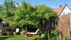 Wenn sie nämlich mit der chemischen keule das ungeziefer erschlagen wollen, treffen sie. Der Schrebergarten Eine Soziale Und Okologische Bereicherung Fur Junge Familien Gartenzeitung Com