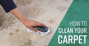 Ensure the carpet is adequately dried. How To Clean Bedroom Carpet Simple Green