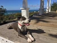 Michiko and Gary's Weekend