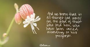 Joy, blessing, happiness, and success will. Daily Prayer For Today Devotionals For Each Day