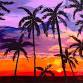 Tropical Sunset – Charlotte Paint and Sip BYOB