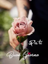 Immagini di buongiorno con giorni della settimana da scaricare gratis per facebook e whatsapp. Pin Di Sina Su Buongiorno Fotografia Di Fiori Immagini Di Fiori Mazzo Di Rose