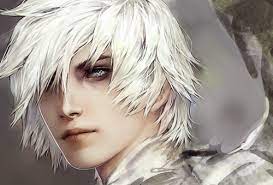 White Hair Art Tumblr Fantasy Art Men Anime Elf Character Art