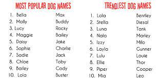 The Rhyme And Reason Of Dog Names At Talking Dogs Throwbackthursday Talking Dogs At For Love Of A Dog Dog Names Cute Boy Puppy Names Boy Puppy Names