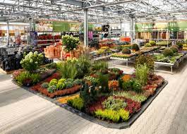 We did not find results for: Obi Gartencenter Garbsen Alles Fur Deinen Garten