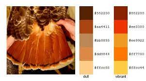 Red Tail Hawk Color Palette Color Palette Color Schemes Color