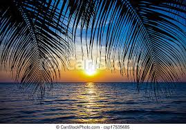Enjoy beautiful palm trees and relaxing music! Beautiful Tropical Sunset With Palm Trees Tropical Beach Palms On The Ocean Beach Canstock