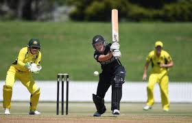 Image result for cricket