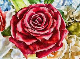 Color the rose drawing with the use of bloody red color. Art Drawing Color Of Red Rose Flower Stock Photo Picture And Royalty Free Image Image 165330199