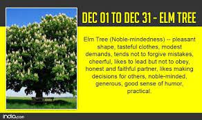 Birth Tree Elm Book Of Life Tree Celtic Tree Astrology