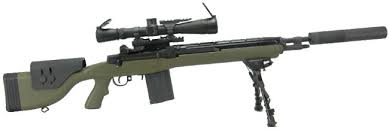 The m14 battle rifle was adopted in 1959 and gradually replaced the m1 garand in the us army, us marine corps, and us navy service. Springfield M14 Military Wiki Fandom