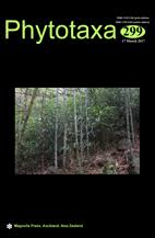 Image result for Mimulopsis excellens