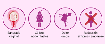 Amenaza De Aborto Causas Sintomas Y Tratamiento