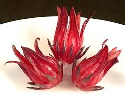 Many insects, including butterflies and bees, are drawn. Wild Rosella Approx 100 Calyxes From Wild Hibiscus 500 G Bag