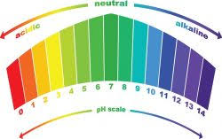 Should You Adjust Soil Ph My Green Montgomery My Green