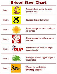 the anglo saxon chronicle revised bristol stool chart