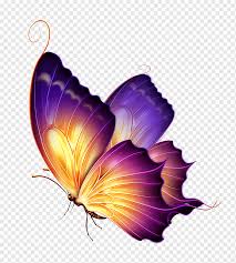 Maybe you would like to learn more about one of these? Butterfly Color Purple Purple Butterfly Yellow And Purple Butterfly Purple Painted Violet Png Pngwing