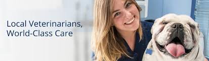 For all questions regarding veterinary medical services or your pet's health: Vca Animal Hospitals Mission Benefits And Work Culture Indeed Com