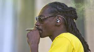 (born october 20, 1971), known professionally as snoop dogg (previously snoop doggy dogg and briefly snoop lion), is an american rapper, media personality, . Snoop Dogg Raucht Joint Vor Weissem Haus Ich Musste Es Tun Stern De