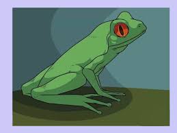 First, make the body of the frog by either dipping a finger in green paint, pressing it to a 'green' stamp pad, or drawing the body shape and coloring it in. 3 Ways To Draw A Frog Wikihow