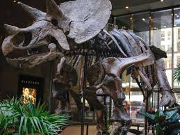 Dinosaur bones silhouettes, isolated objects. Are Dinosaur Fossils Minerals Millions Ride On Court S Decision Quartz