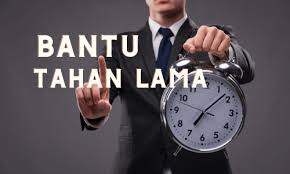 Hammer of thor italy mula memasuki pasaran pada tahun 2015. Pembekal Hammer Of Thor Malaysia Hammer Thor Malaysia