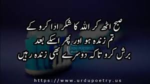 If you feel your best on the planet nothing makes a distinction that will make you chipper person. Top 30 Funny Quotes Urdu Images Urdu Poetry Shayari Urdu Jokes Urdu Quotes