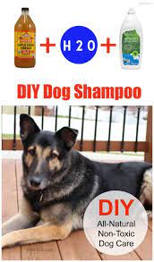 Diy Dog Shampoo All Natural Non Toxic Diy Dog Shampoo Dog Shampoo Natural Pet Care
