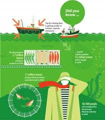 Fisheries new zealand reports on the status of fish stocks and fisheries in new zealand waters. Fishery Statistics Statistics Explained
