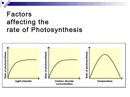 Biology Photosynthesis