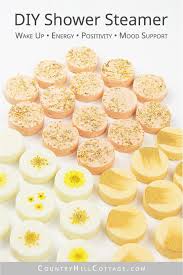 Shower Bombs Recipe 3 Aromatherapy Shower Melt Ideas Homemade Bath Bombs Recipe Shower Bombs Shower Bombs Essential Oils