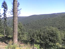 Photos taken by Sagem my600X ...