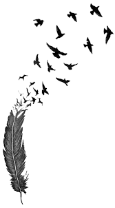 Bird Feather Tattoo Drawing Clip Art Flying Birds Tattoo Designs Hd Png Download Kindpng Feather Tattoo Drawing Bird Feather Tattoo Flying Birds Tattoo
