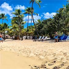 () the dominican republic has some of the most beautiful beaches in the caribbean. Isla Catalina Republica Dominicana La Romana Scubacaribe Www Scubacaribe Com Playa Snorkel Picture Of Dreams Dominicus La Romana Dominican Republic Tripadvisor