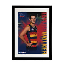 View the profiles of people named taylor walker. Adelaide Crows Signed And Framed Hero Shot Taylor Walker Taylormade Memorabilia Sports Memorabilia Australia