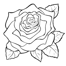 Rose Engraving Large Roses Drawing Flower Drawing Rose Clipart
