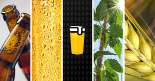 30,000+ users downloaded essential phone wallpapers latest version on 9apps for free every week! 9 Beer Themed Background Wallpapers For Iphone And Just Wine