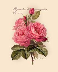 Pink Roses By Paul De Longpre Vintage Art Print 11 X 13 5 Vintage Art Prints Rose Art Vintage Roses