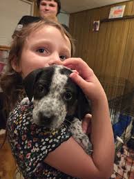 Wybie the dog is 8.5lbs at 7 months old