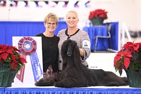 Trinity Valley Kennel Club
