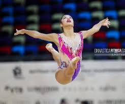 Ginnastica ritmica la ginnastica ritmica è riservata alle donne e,prevede esercizi a corpo libero, compiuti sempre con accompagnamento musicale, da eseguirsi però con l'ausilio di 5 attrezzi (la palla, il nastro, le clavette, la fune ed il cerchio). Ginnastica Ritmica Italiana Homeofrhythmics