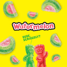 Making christmas ornaments from a scratch is easy! Sour Patch Kids Watermelon Soft Chewy Candy Family Size 1 8 Lb Bag Walmart Com Walmart Com