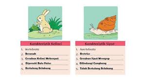 Induk kelinci ini sangat menyangi ketiga anaknya. Kunci Jawaban Tema 1 Kelas 5 Halaman 42 43 44 45 46 47 48 49 50 Subtema 1 Pembelajaran 5 Halaman All Tribun Pontianak