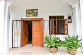 Discover your dream homestay today. Little Nature Penang Homestay In George Town Malaysia Lets Book Hotel