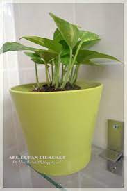 Rak telur egg d'laila bunga kayu tidak mudah patah vantage white exclusive (30 biji telur) hiasan dapur. Info Populer 42 Pasu Bunga Hiasan Ikea